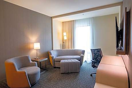 Suite, 1 King, Sofa bed