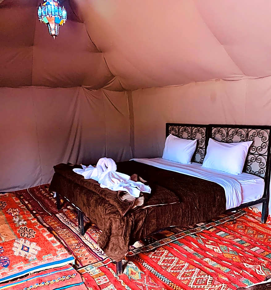 Sahara wellness camp