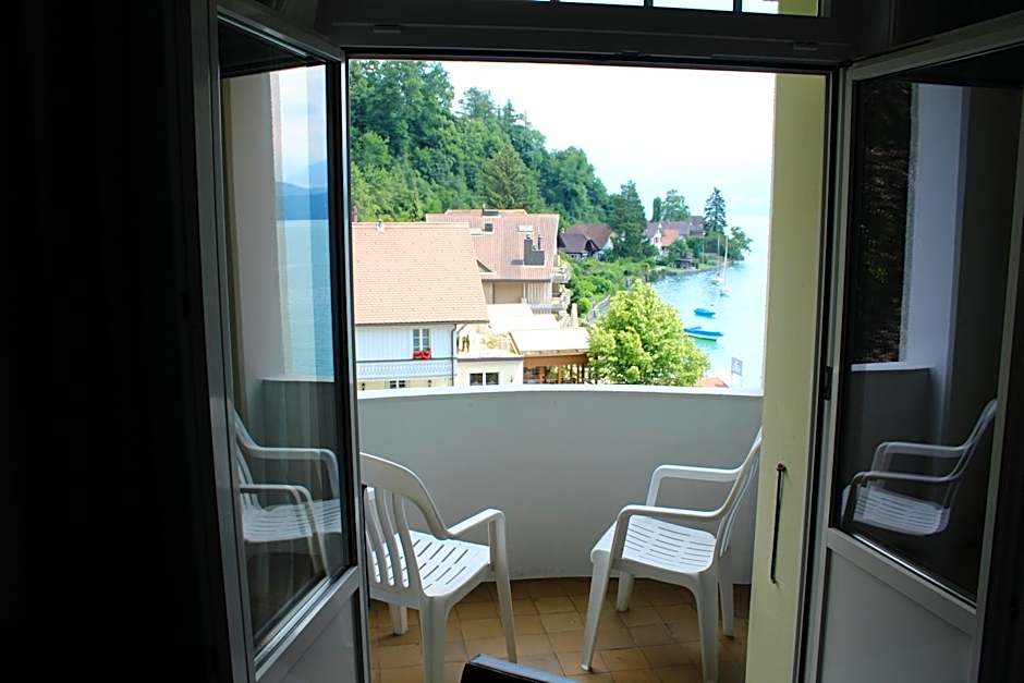 Hotel Restaurant Bellevue au Lac