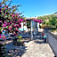 Villa Olivia Residence Ischia - nel Verde con Piscine e Vista Mare