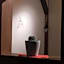 KINOSAKI KNOT female only - Vacation STAY 25710v