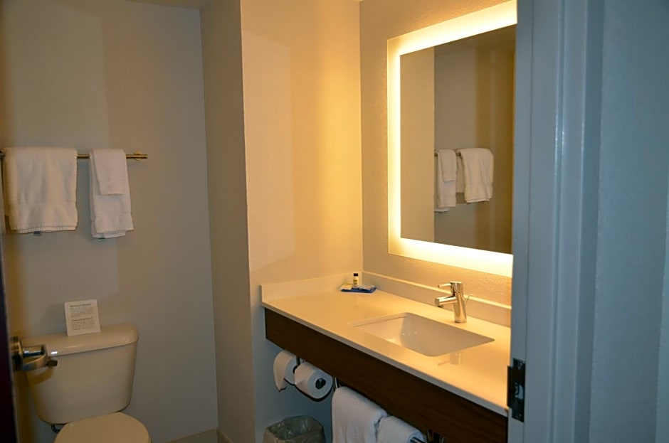 Holiday Inn Express Hotel & Suites Rochester By IHG