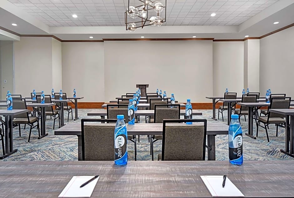 Hilton Garden Inn Houston Medical Center, TX