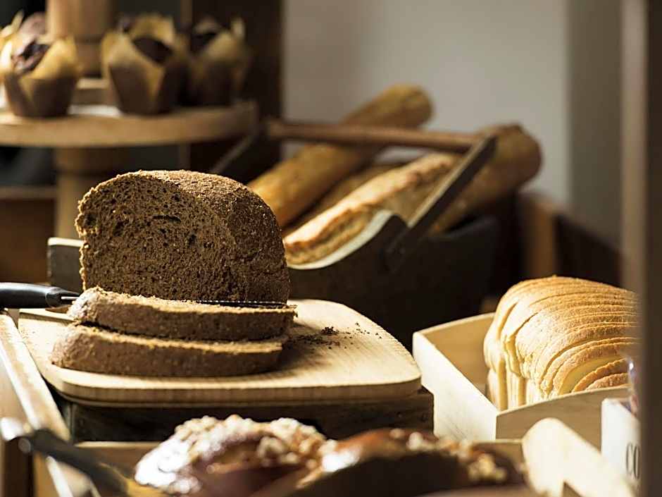 Novotel Annecy Centre Atria