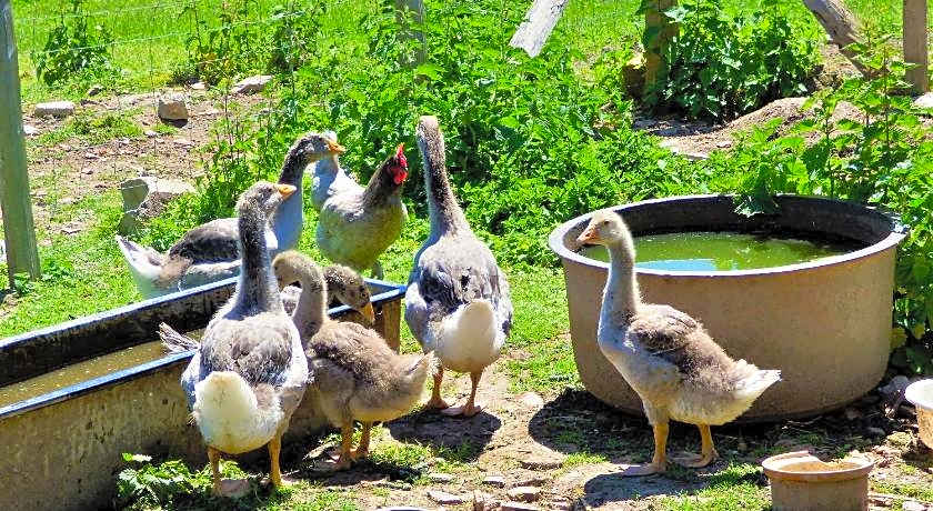 L'Ancien Presbytere Chambres D'hote ou Gite