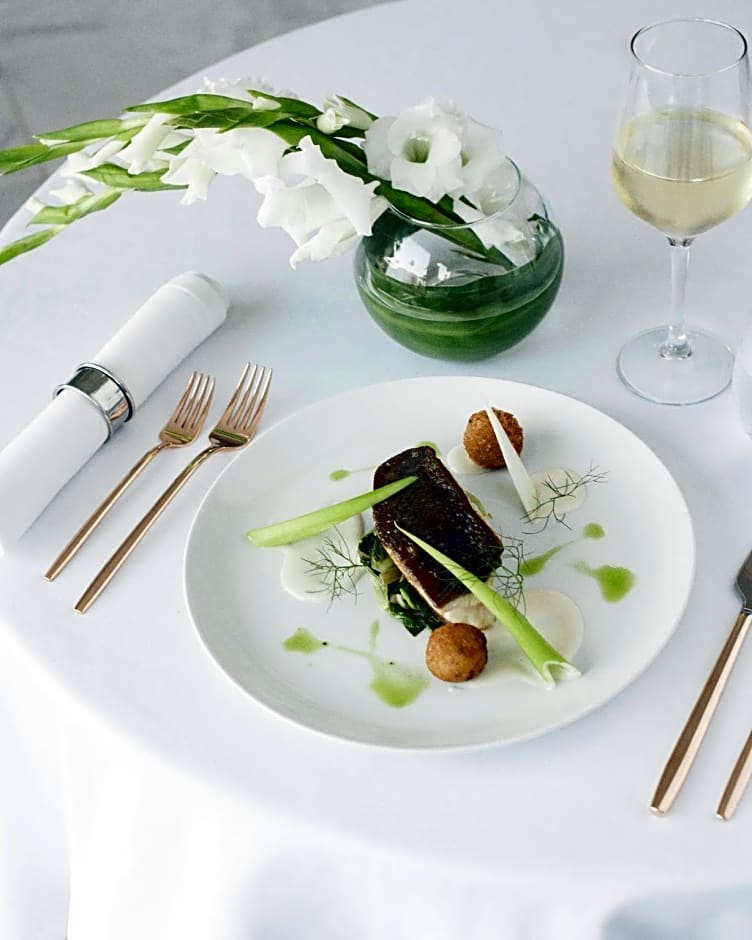 Excellence El Carmen - Adults Only - All Inclusive