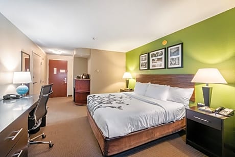 King Room - Accessible/Non-Smoking