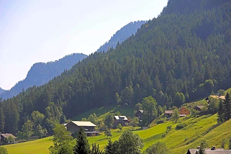 Hotel - Restaurant Gosauerhof