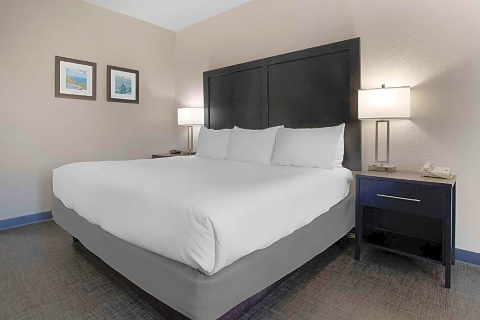 Comfort Inn & Suites Greer - Greenville