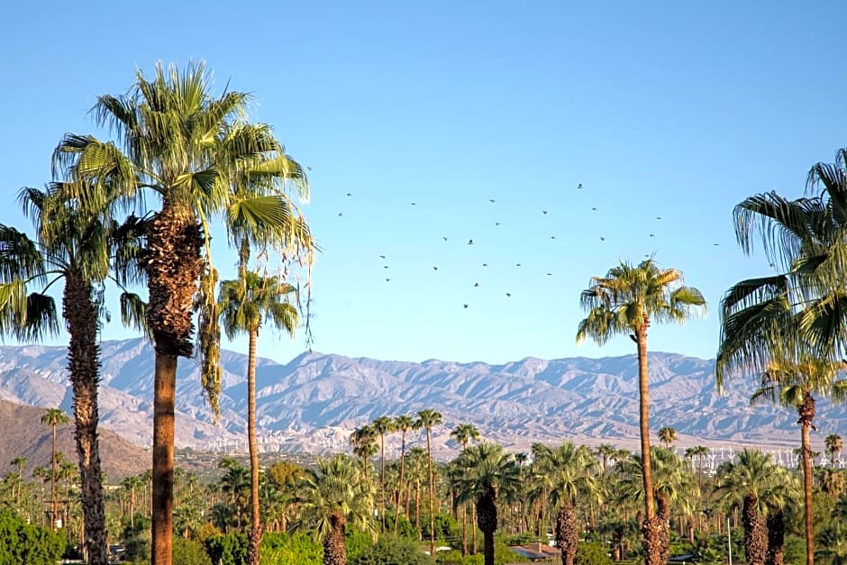 The Saguaro Palm Springs