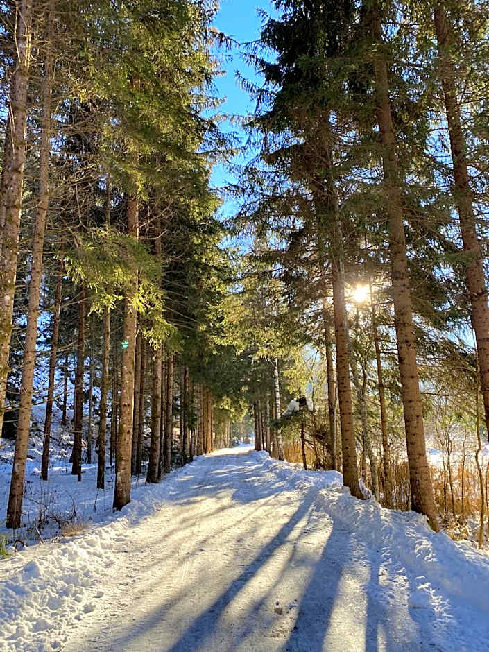 Molltaler Appartements en b&b