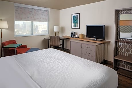 standard room, 1 king bed, accessible (mobility roll-in shower)
