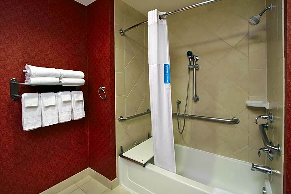 Photo 1 of 1 of Studio 1 King Bed Suite, Mobility Accessible