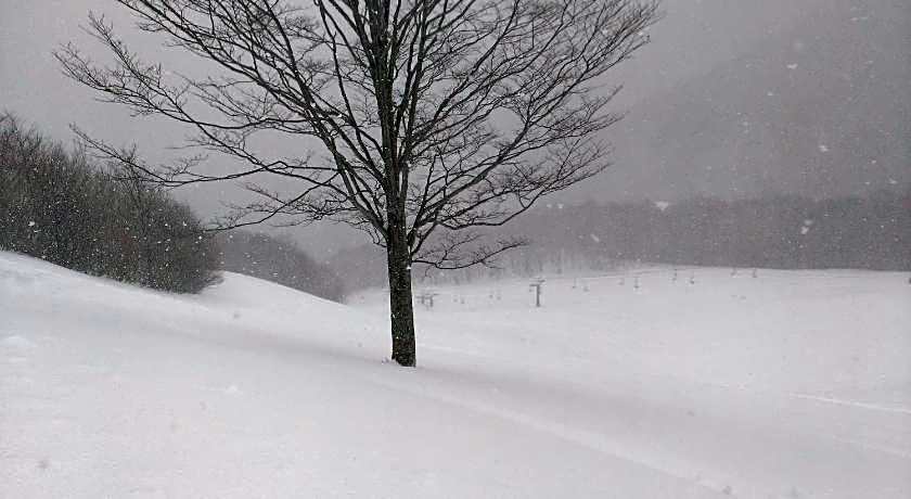 Tanigawa Valley Lodge & Coffee Roastery