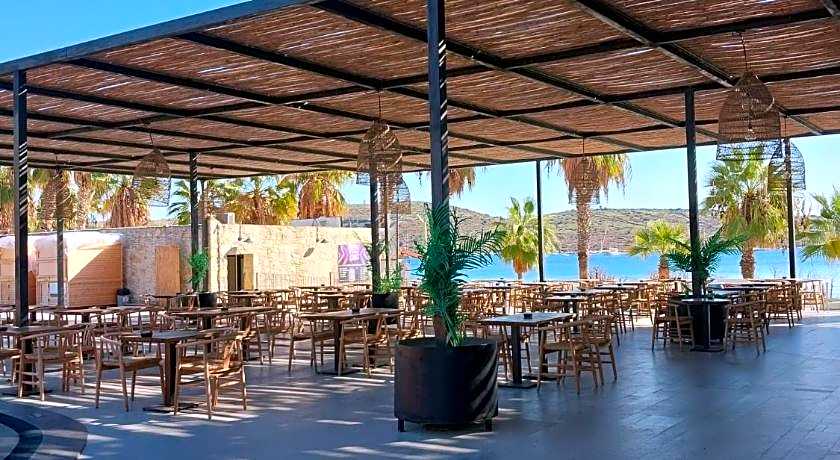 Very Chic Adult Only 18 