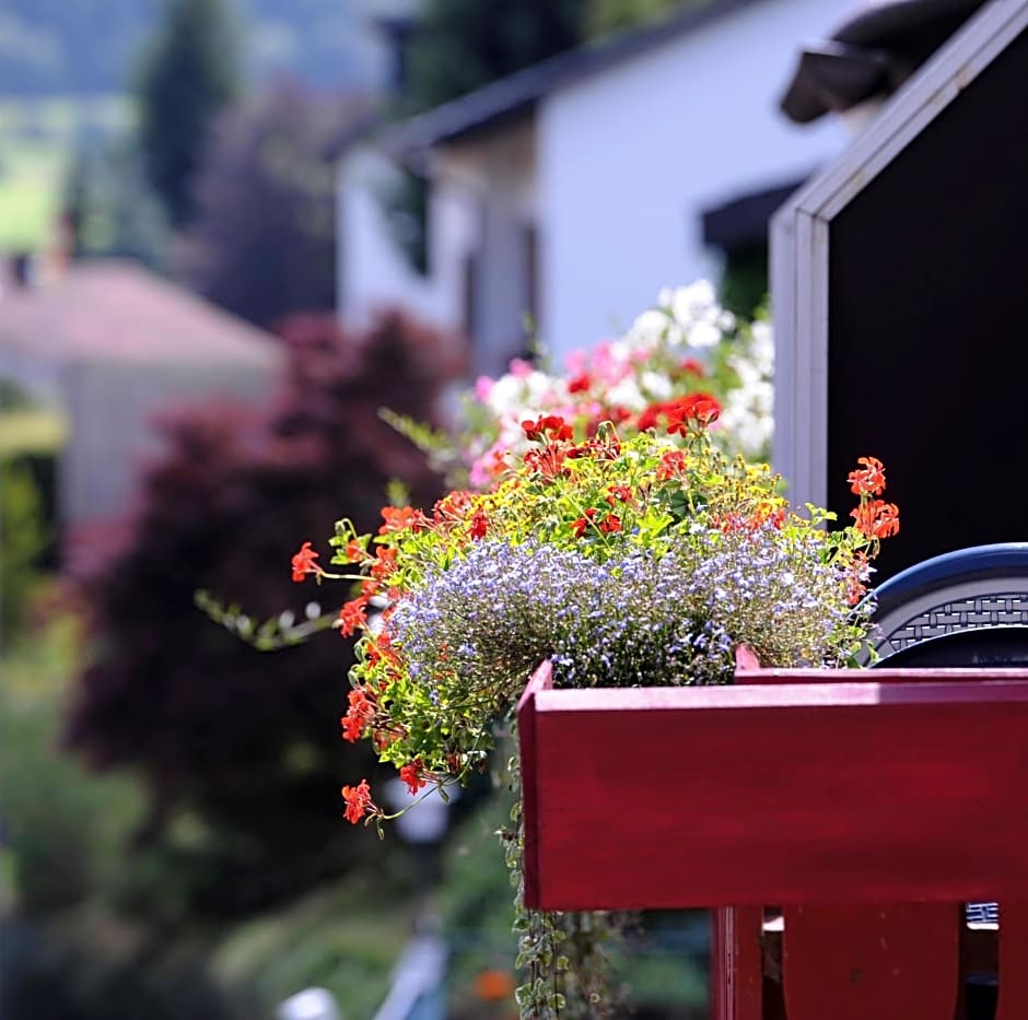 Hotel an der Sonne & Restaurant Zum Schneiger