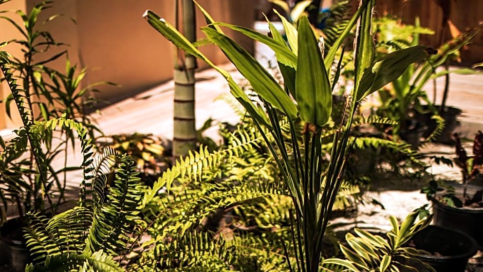 Endheri Sunset Dhangethi