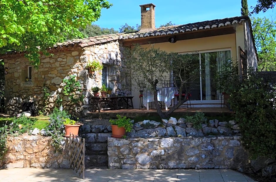 Sous les chênes