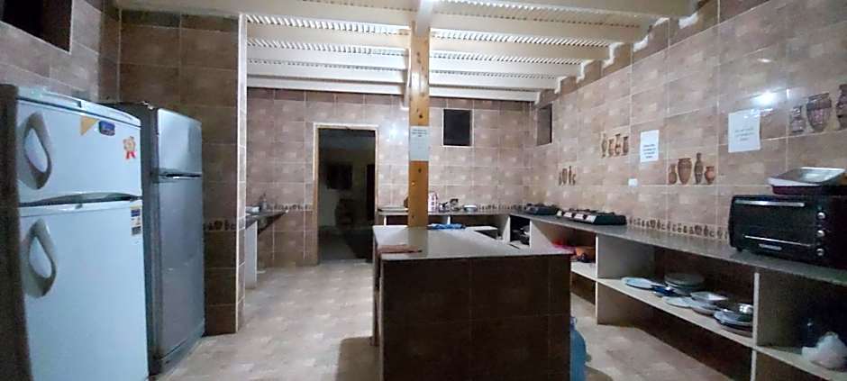 Oasis Fighting Kangaroo