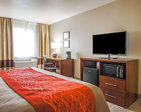 1 King Bed, Nonsmoking