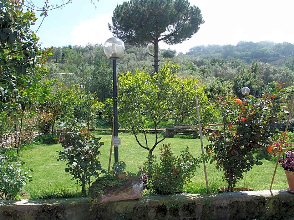 L'Angolo di Campagna