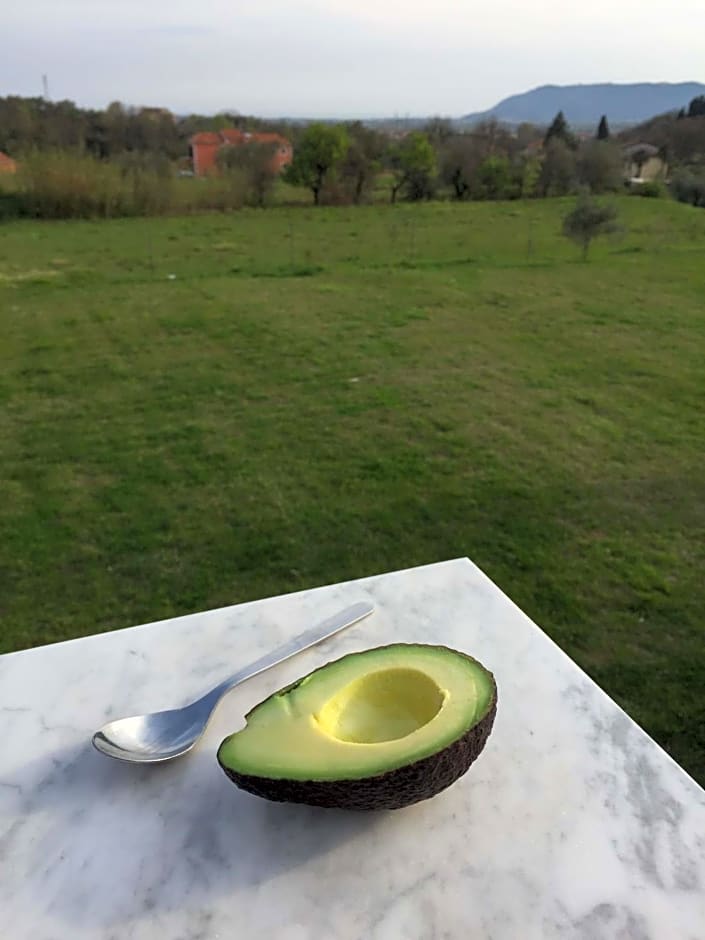 Il Giardino delle Esperidi