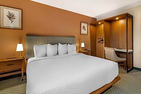 Accessible King Room with Roll In Shower