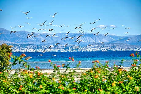 Nikos Kalamaki Corfu