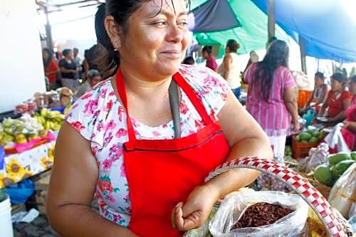 Posada Lupita