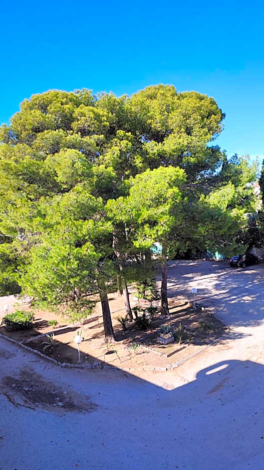 Hotel Restaurant Miramar L'orchid