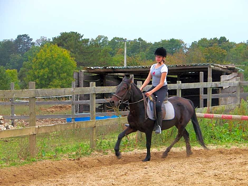 Hôtel restaurant les Templiers