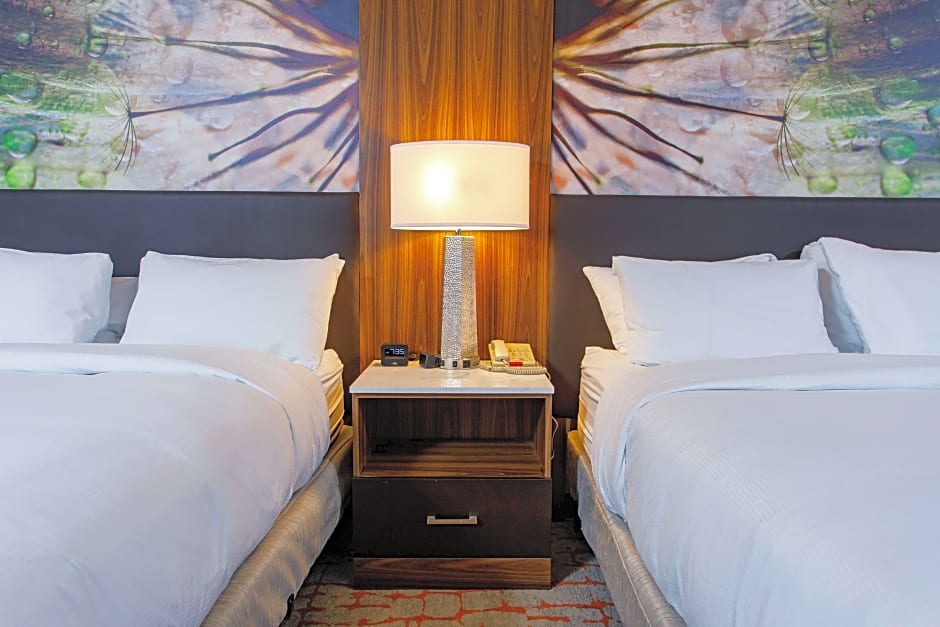 Family 1 King Bed Suite — 9 fotoğraftan 1. fotoğraf
