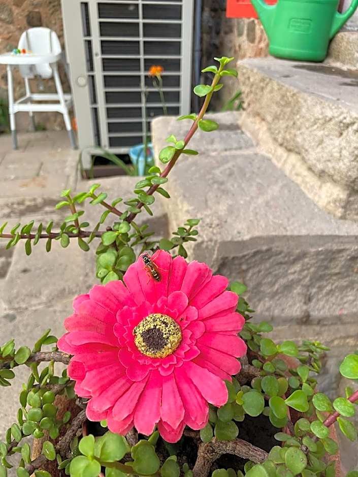 ARİSTONİCUS BUTİK HOTEL