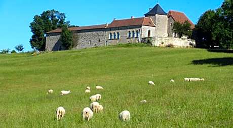 Nature et Piscine au sommet du Perigord