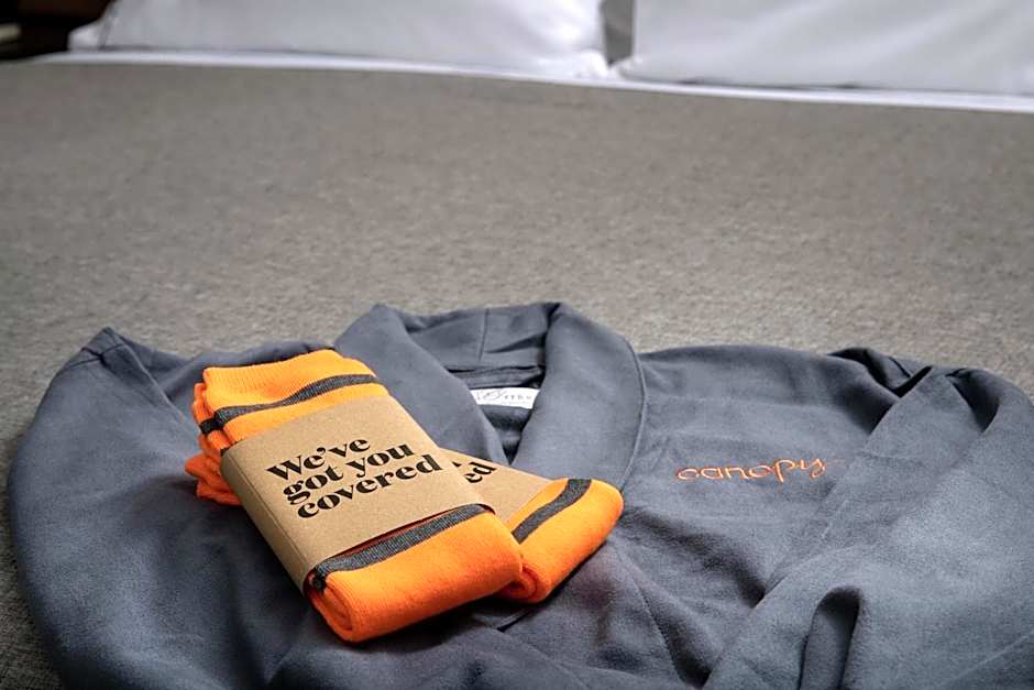 Canopy by Hilton Ithaca Downtown