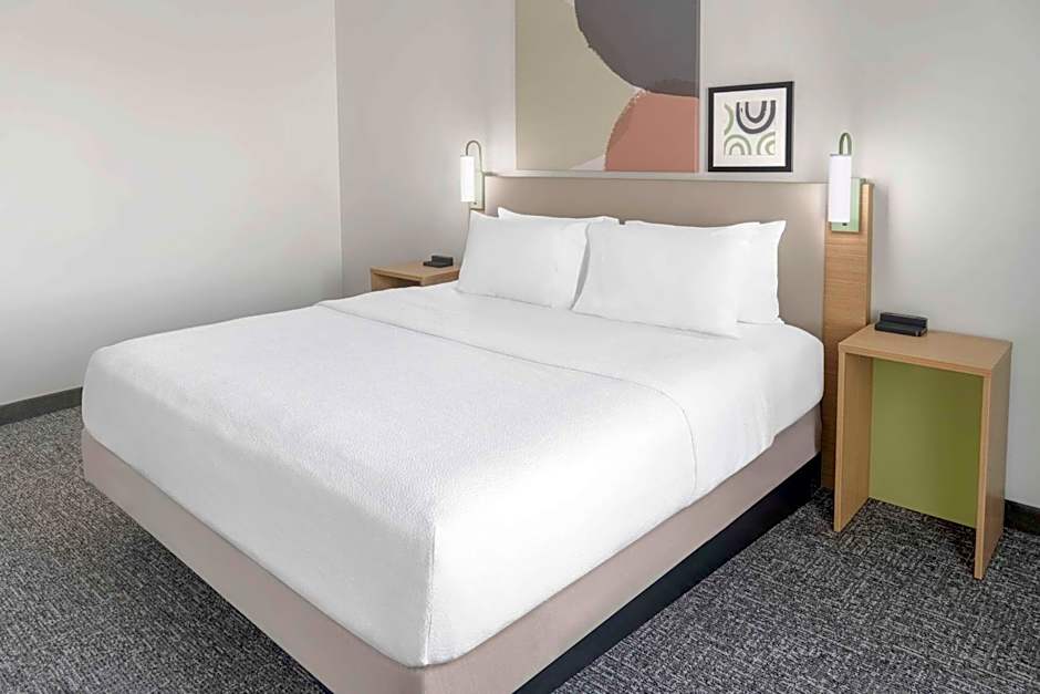 Spark by Hilton Lansing