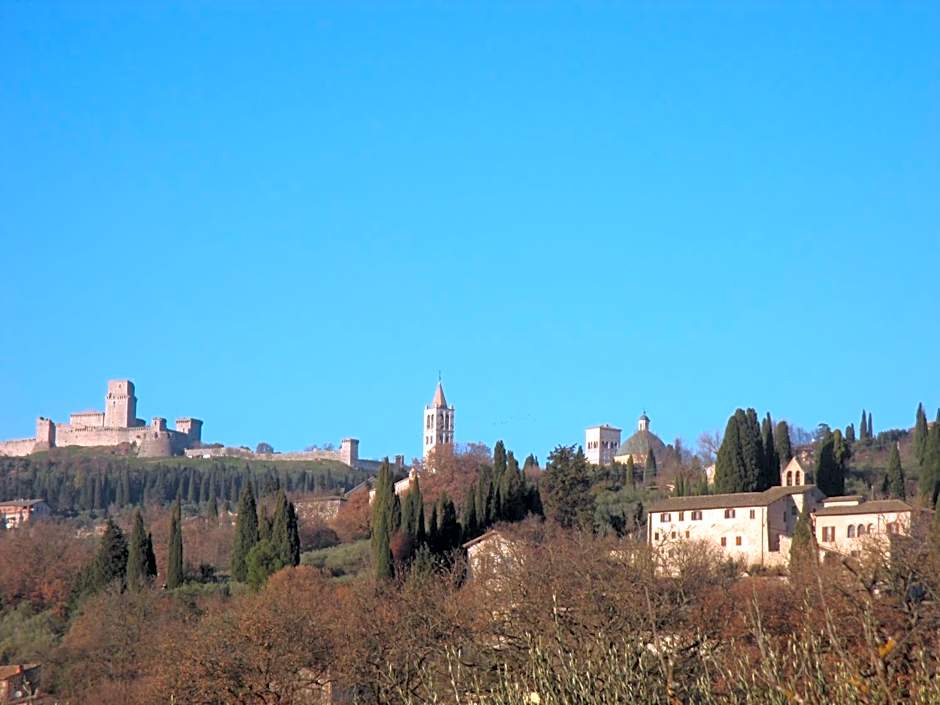 All'Ombra di San Damiano