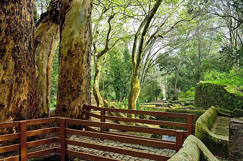 Villa Termal Monchique - Hotel Central - by Unlock Hotels