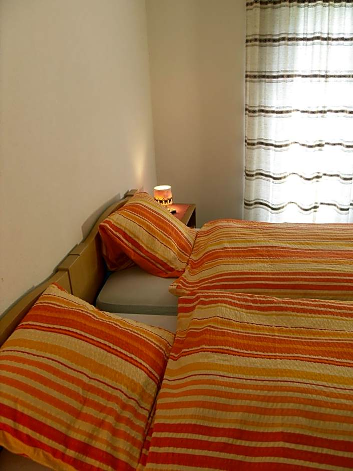 Hotel Alpina