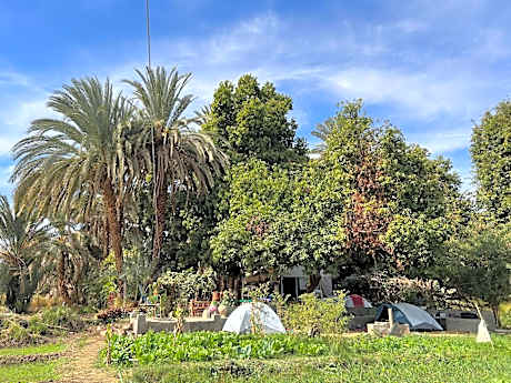 Salatoos Mango Garden and Guesthouse