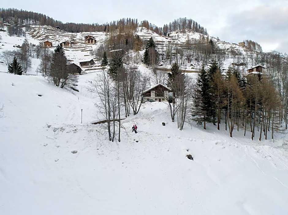 Family Apartments Vioz