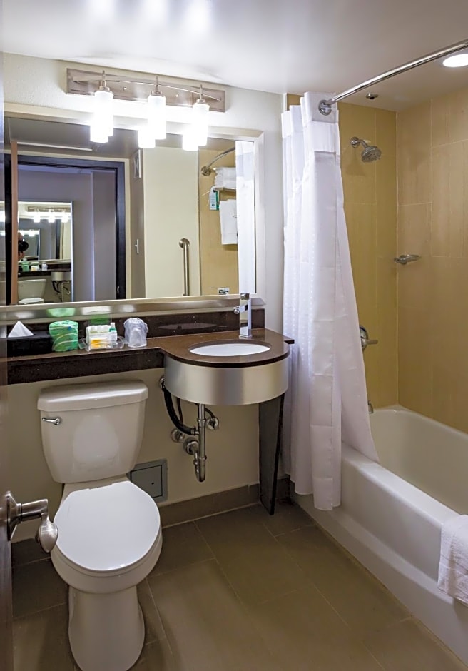 Holiday Inn Houston Downtown By IHG