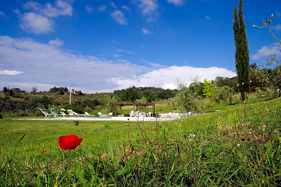 Mezzano In Chianti