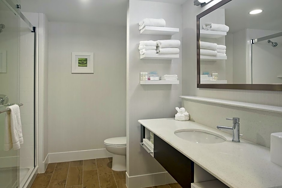 Hampton Inn & Suites - Minneapolis/Downtown