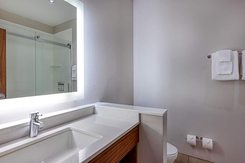 Holiday Inn Express Troy By IHG