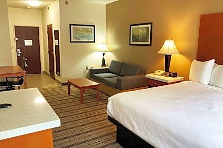 1 King Bed Suite Non-Smoking