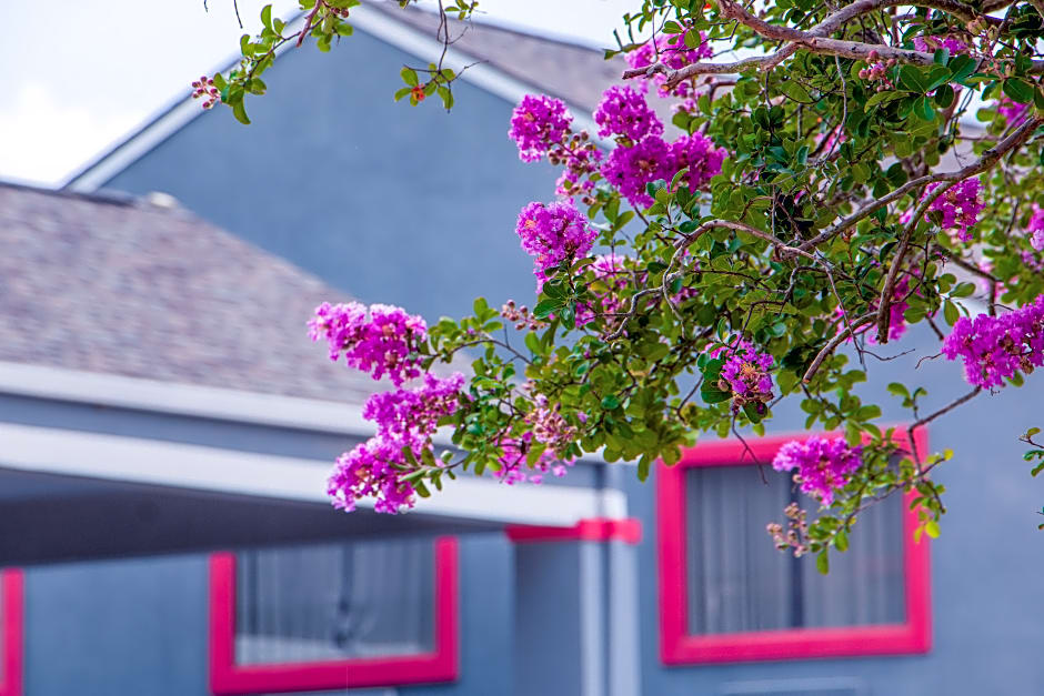 Americas Best Value Inn Donaldsonville