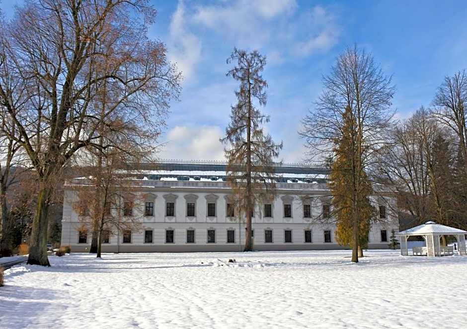 Hotel Gino Park Palace - Kaštieľ Orlové