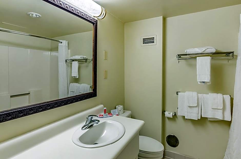 Econo Lodge Inn & Suites Radford-Blacksburg Area
