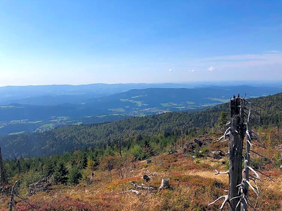 Wellnesshotel Riedlberg